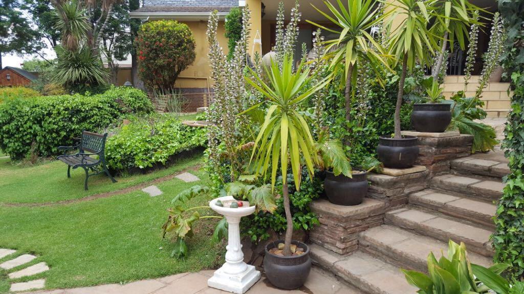 Villa Mikamora โจฮันเนสเบิร์ก ภายนอก รูปภาพ